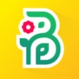 Иконка программы: Buchet - Доставка букетов