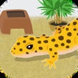 أيقونة البرنامج: My Gecko -Virtual Pet Gam…