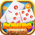 程序图标：Dominó Winner - Jogo Clás…