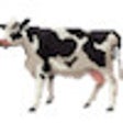 Pictogram van programma: Jump