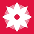 Pictogram van programma: Gallery 2024
