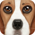 Ikona programu: Ultimate Dog Simulator