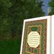 Programın simgesi: Quran Oasis