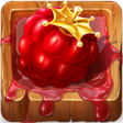 Icoon van programma: Berry King
