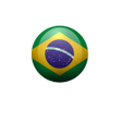 Programikon: Guess the Flag