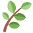 程序图标：Ferns