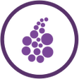 Programikonen: Onion Browser Button