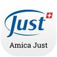 Programikonen: Amica Just
