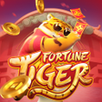 프로그램 아이콘: Tortune Figer