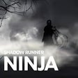 Programikonen: Shadow Runner Ninja