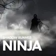 Shadow Runner Ninja