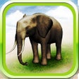 Programın simgesi: REAL ANIMALS HD