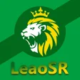 プログラムのアイコン：LeaoSR