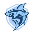 程序图标：Shark VPN -Fast  Secure P…