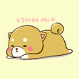 Programikonen: Cute Mini-Shiba Theme