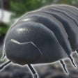Icon of program: Roly-Poly Friends