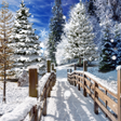Programikonen: Winter Landscapes Wallpap…