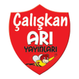Programikonen: Çalışkan Arı Video Çözüm