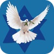 프로그램 아이콘: Olive Tree Ministries