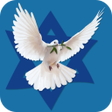 Olive Tree Ministries icon