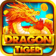 Icon of program: Dragon and Tiger Fight
