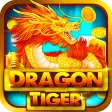 Dragon and Tiger Fight