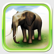 プログラムのアイコン：REAL ANIMALS HD