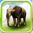 Icon of program: REAL ANIMALS HD