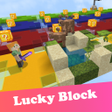 程序图标：Luck Block Race Mods for …