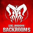 Ikon program: Level Unknown: Backrooms