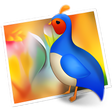 Symbol des Programms: Pavo