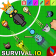 プログラムのアイコン：Battle Royale.io - Zombie…