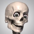 Programikonen: Skelly - Poseable Anatomy…
