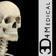 Skeletal System Pro III icon