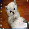 Programmsymbol: Flickr Wallpaper Rotator