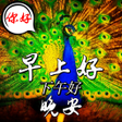 程序图标：Chinese Good Morning Afte…
