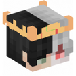 プログラムのアイコン：Ranboo Skins for Minecraf…