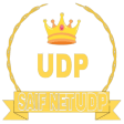 SAIF NET UDP