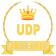 Ícone do programa: SAIF NET UDP