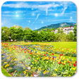 Icon of program: Nature Wallpaper