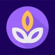 Programikonen: Salvia
