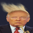 程序图标：Donald Trumpet