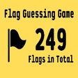 Programikonen: Flag Guessing Game