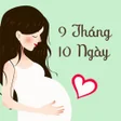 9 Thang 10 Ngay - Hành trình icon