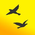 أيقونة البرنامج: Flocker - Twitter Followe…