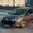Peugeot 207: City Simulator