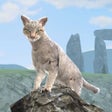 Icon of program: Clan Of Cats