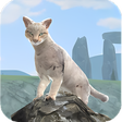 Programikonen: Clan of Cats