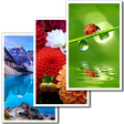 程序图标：Wallpapers HD Backgrounds
