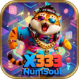 أيقونة البرنامج: x333 NumSoul